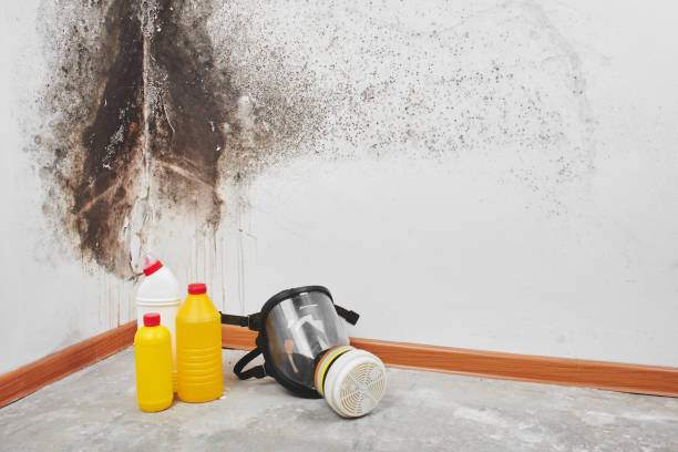 Best Crawl Space Mold Removal  in La Riviera, CA