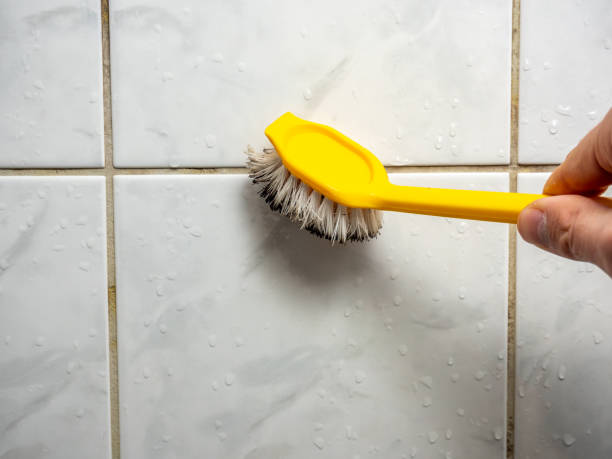 Best Office Mold Removal Services  in La Riviera, CA