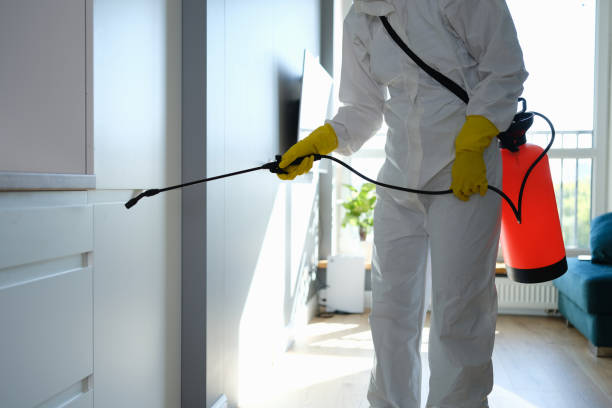 Best Mold Removal Process  in La Riviera, CA